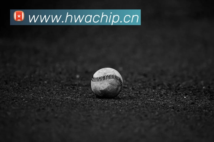 开云app官方版入口appAPP 封面图